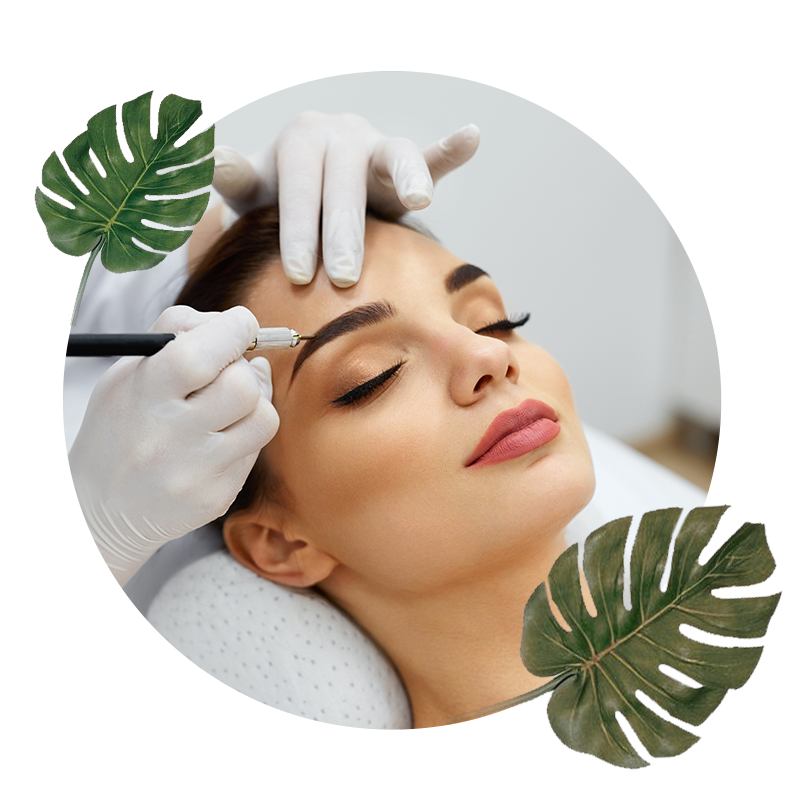 Lashes and Brows Beauty Salon in Muswellbrook Beauty Co